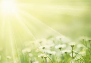 Related Pictures Newsletter Background
