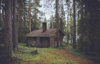 Wallpaper House Forest Trees Nature Woods Chalet Hut Image