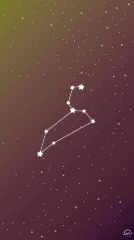 Zodiac Constellation Vector Phone Wallpaper Ideas