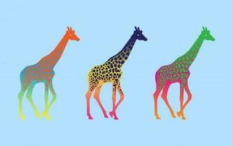 Colorful Pop Art Minimalism Wallpaper Full HD