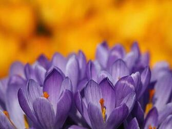 The Spring Equinox Is Wednesday March Things To Know About