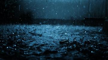 Wallpaper Close Up Drop Black
