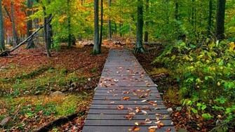 Fall Colors Desktop Wallpaper In HD