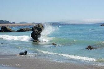 California Beach Photo Wallpaper On This Background