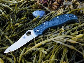The World S Most Recently Posted Photos Of Spyderco And Wallpaper