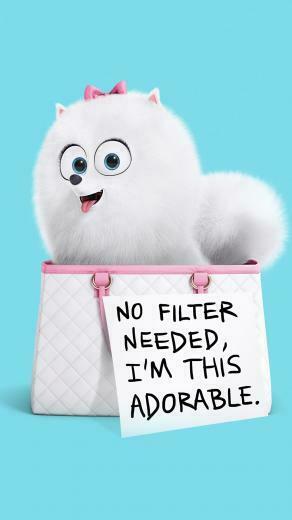 Gidget The Secret Life Of Pets Wallpaper HD