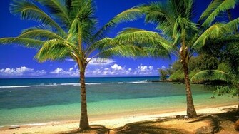Widescreen HD Wallpaper