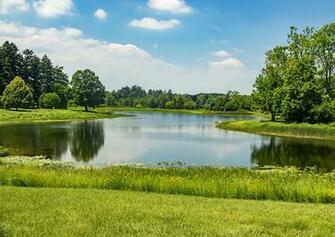 Image Usa Morton Arboretum Northern Illinois Nature Summer Sky Lake