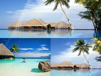 Tropical Resort Animated Wallpaper Desktopanimated