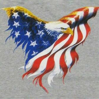 Flag Eagle Wings Men S T Shirt