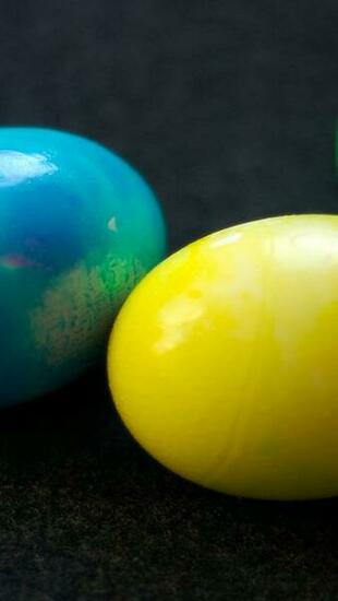 Happy Easter Eggs iPhone HD