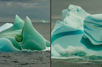 Seal On An Iceberg At Gerlache Strait Andvord Bay The Finder