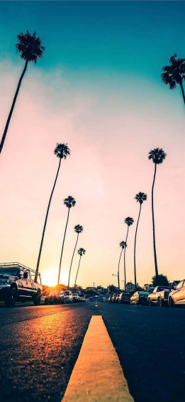 California Summer Wallpaper
