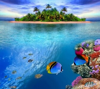 Coral Reef Wallpaper Sa