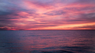 Summer Desktop Wallpaper Laptop Computer Image Artofit