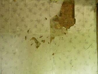 Old Torn Wallpaper By Tinkerbeiie143