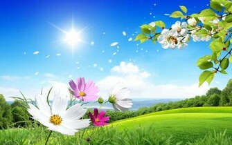 Wallpaper Spring Flowers For