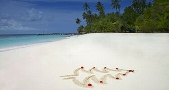 Image Christmas Wallpaper Trees Beaches Pc Android iPhone
