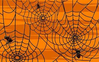 Scary Halloween HD Wallpaper Pumpkins Witches Spider Web