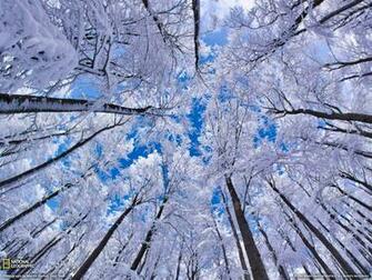 Photo Nature Wallpaper National Geographic Of The Day