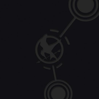 Zicklepop The Hunger Games Wallpaper