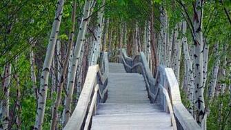 Bing Wallpaper Archive