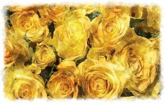 Yellow Roses Desktop Wallpaper High Definition