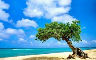 Aruba HD Wallpaper Background Image