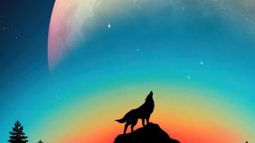 Wolf 4k Wallpaper For Your Desktop Or Mobile Screen And Easy