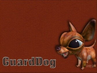 Hope You Enjoy This Best And Cutest Chihuahua Wallpaper We Collect