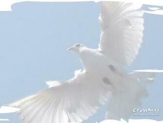 Image Result For Holy Spirit Background Image The Resurrection