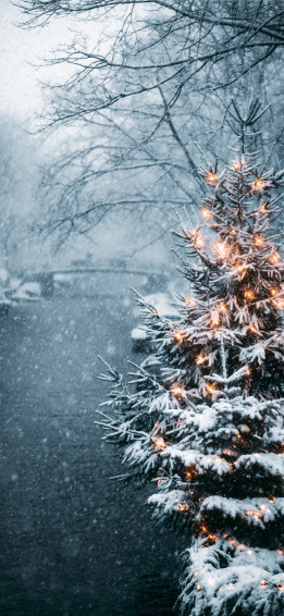 Christmas Tree Covered With Snow iPhone Wallpaper