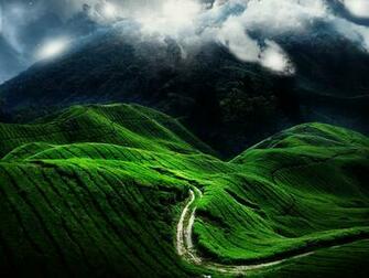 Wallpaper Fantasy Nature