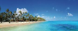 Beach Palm Trees Sand Wallpaper Background Dual Monitor Resolution
