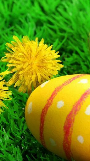 Easter Eggs Ideas iPhone HD Wallpaper