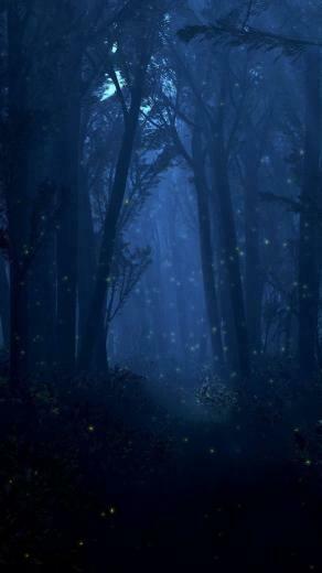 Dark Forest Wallpaper iPhone