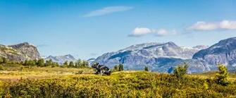 Landscape Photography Of Green Grass Land Surrounded By Mountains