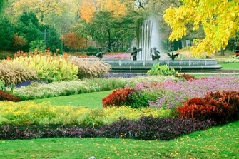 Flower Garden Forest Cool Wallpaper Wonderful