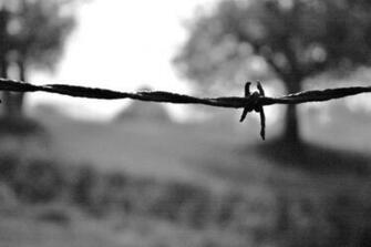 Barb Wire Wallpaper Allwallpaper In Pc En
