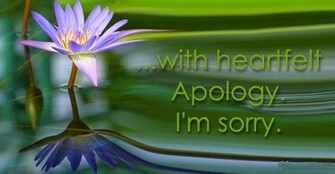 Sorry Wallpaper HD