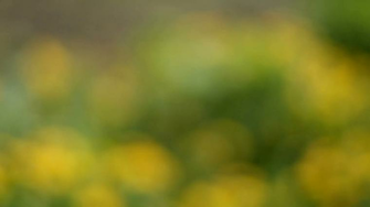 Blurring Background In Motion Stock Video Footage Storyblocks