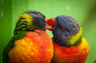 Fb Cover Picture Android Wallpaper
