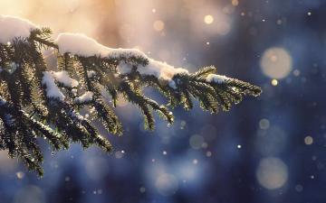 4k Winter Wallpaper For iPhone iPad Or Macbook Christmas