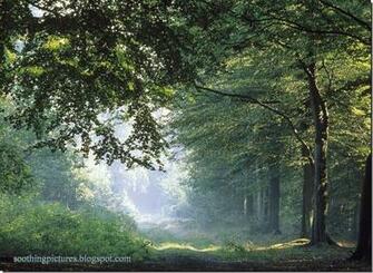 Peace Of Mind Beautiful Nature Wallpaper Image