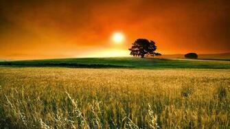 HD Wallpaper 1080p Summer Nice Pics Gallery