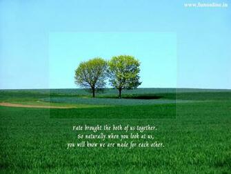 Love Message Wallpaper