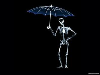 Wallpaper Art X Ray