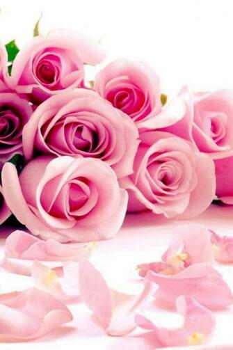 Shazna Siraj On Random Love Quotes Wallpaper Sweet
