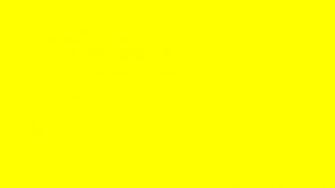 Solid Yellow Driverlayer Search Engine