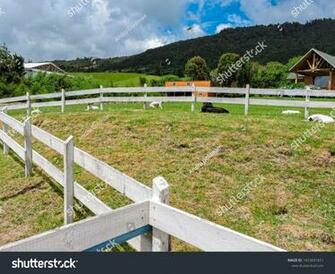 Punta Arenas Chile On Green Background Natural Beauty